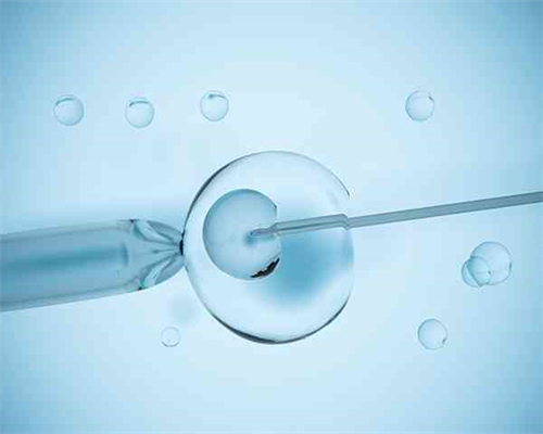 4个囊胚能筛出几个男宝「囊胚性别筛选」~供卵不排队