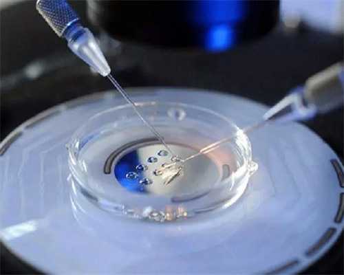 香港验血结果没给邮寄,什么导致胎儿没有胎心胎芽