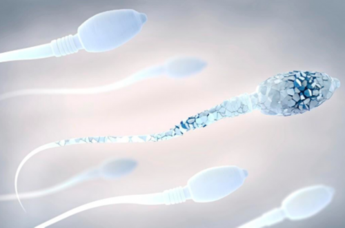 孕期粘液丝偏高的原因,香港验血测胎儿性别有不准的吗