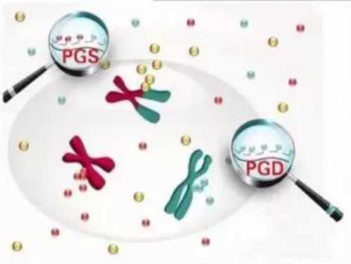 香港验血费用是多少？告诉你是不是骗局 香港验血8周能验吗
,香港验血邮寄的