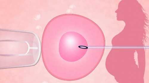 西安供卵的成功率,做试管婴儿需多少钱西安,平均84158元