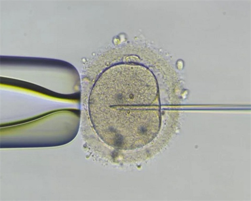 怀孕初期能不能吃烤串