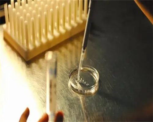 美国试管婴儿之怕的卵巢早衰