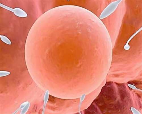 香港验血一天会出结果吗,【香港时代医疗化验所】孕妇能不能吃杏核