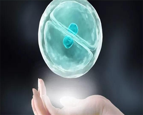 宫腔镜下摘除子宫内膜息肉的危险性高吗？宫腔镜手术后引流袋的作用~怀孕产子