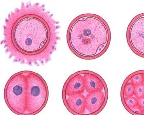 广州哪里验血鉴定胎儿性别<最著名的验血集团,怀孕香港验血要几天