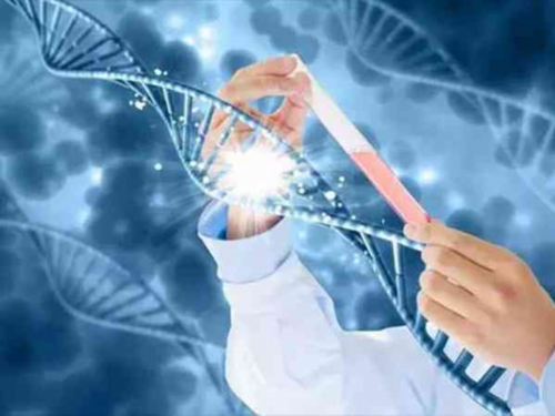 香港验血nd便是女孩吗,验血查男女测性别怎样挑选,香港化验血生男生女准确吗