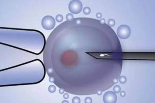 香港验血胚芽为准
什么样的孕妈妈更简单生男孩,香港验血周六日休息吗