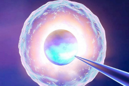 孕期熬夜对胎儿有大大的危害！你还敢熬夜吗？,怀孕一个月验血超值香港卓信