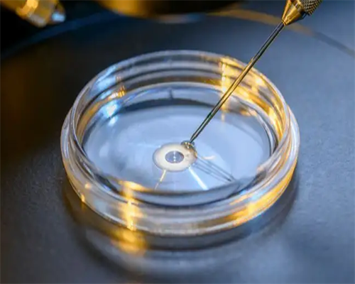 试管婴儿患者取卵后多久可进行胚胎移植？~助孕代怀生子