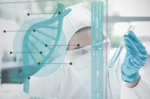 【香港时代医疗化验所】胎儿7个月有多重,验血邮寄去香港查男女靠谱