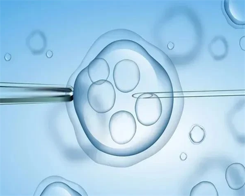 孕妇能不能吃鸡头,亲自去香港验血费用