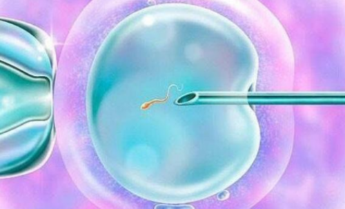 西安专业代怀服务,梦美生命:美国试管婴儿避免生化妊娠,让好孕相随_试管打