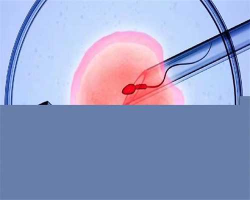 金边第一试管婴儿，金边第一试管婴儿诊所成功率~私人三代咨询