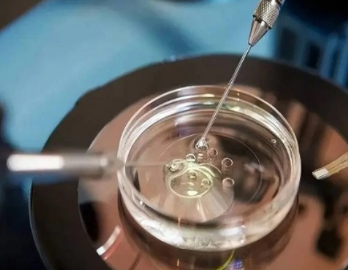 试管移植前做什么运动比较好?移植前适合做什么运动?~供卵代生技术