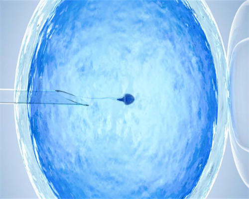 泰国试管移植流程,最重要的这四个阶段你了解吗