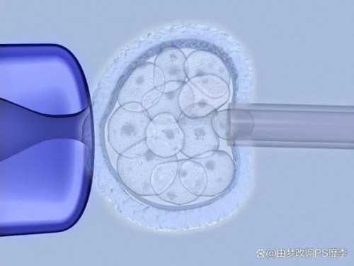 【香港时代医疗化验所】鹌鹑蛋怀孕了能不能吃,有生化后又怀孕香港验血男孩