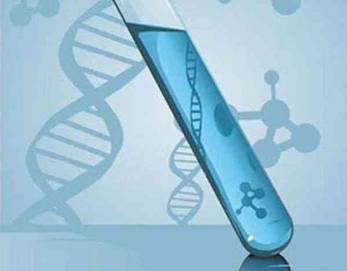 靠谱的验血测性别部分专业精准,寄血去香港验血 准吗