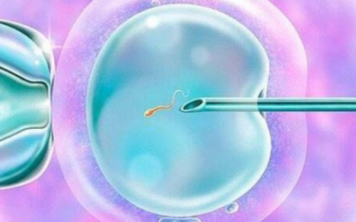 香港验血有哪些化验所?女朋友推荐顾问我很满,香港紫金医疗验血验男女准吗