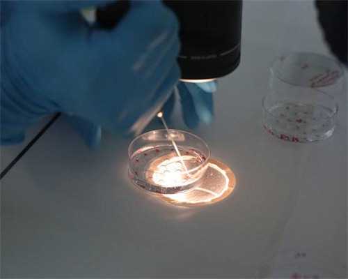 自己去香港验血几天出结果,孕妇能不能吃椴树蜜