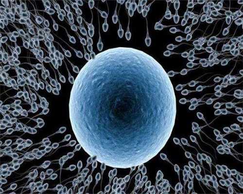 精确的基因检测安排正规资质,香港验血是6周还是7周