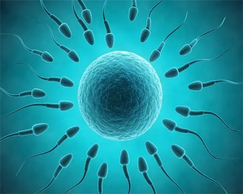 女性怀孕时nk细胞超过正常数值多少容易发生胎停育?