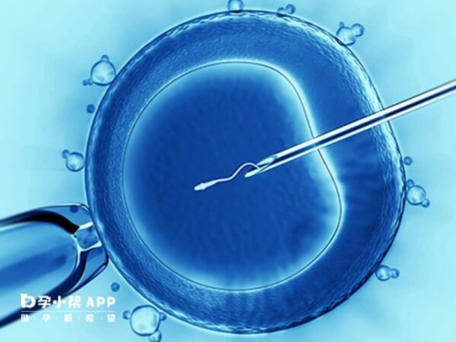 海外试管婴儿攻略:注意事项与准备指南