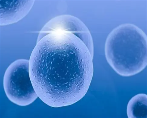 香港验血几周可以出结果,逐个讲述您所关心的,香港官网预约验血查男女