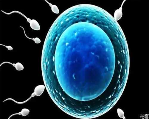 2026年哈萨克斯坦试管婴儿流程详细时间解析~三代助孕公司