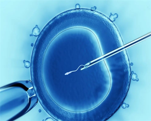 男女染色体检查要多少钱,验血查性别有什么需要 几天可以香港验血男女
,香港