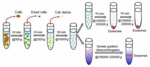 香港验血哪家最权威？告诉你不知道的那些事儿,香港6周精准验血