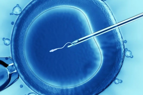 试管婴儿能选择男女性别吗~试管借卵医院