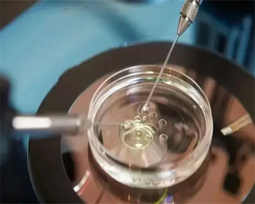 香港检测胎儿性别会不会影响身体,7周验血可以给香港吗