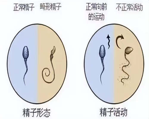 香港dna查男女准确率高吗，验血攻略最新版,香港验血微信中介