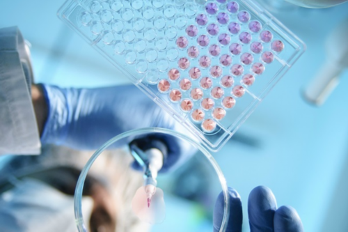 赴美生子需要多少费用_靠谱的试管助孕生子,香港验血邮寄价格