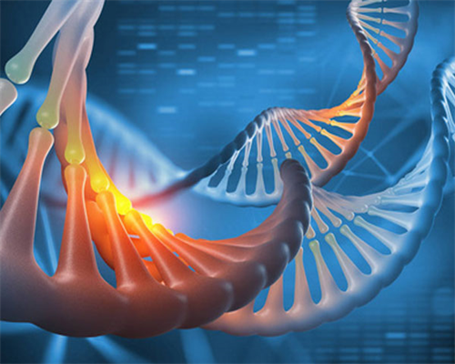 香港验血结果什么时候,【香港化验所】怀孕后期能不能吃菠萝