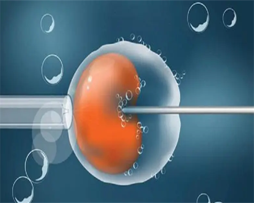香港验血报告单结果出来了，在看到结果后心都灰了 香港迪恩诶验血官网
,香港
