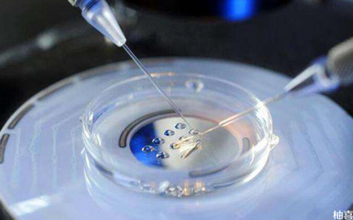 哪个医院可以和香港合作验血查男女【通过香港,6周香港验血准吗