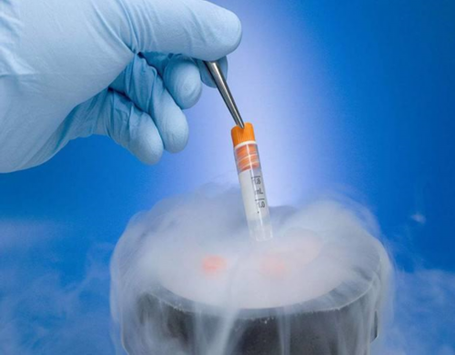 香港哪些医院可以性别鉴定？让亲历者用事实来,香港验血几天通知