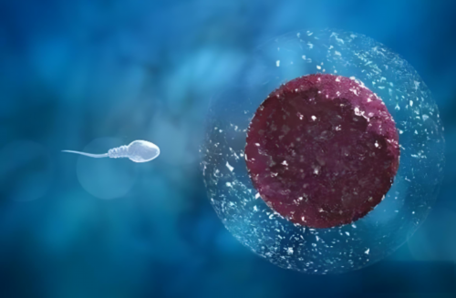 定心的性别判定技术先进,香港检验血的机构