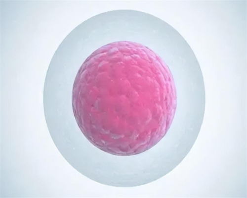 第三代试管婴儿几天能测出来怀孕~有偿捐卵机构