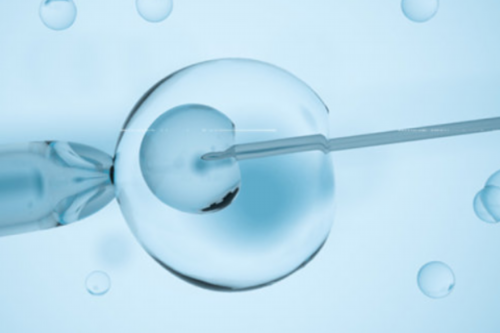 西安供卵机构医院,试管婴儿囊胚移植没着床的原因是什么？_西安供卵试管靠谱