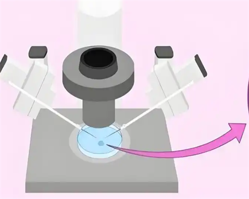 胎芽3mm验血性别准吗,我来先告诉你答案吧！,香港邓远剑医生验血