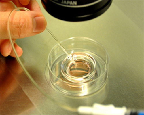 六安试管婴儿医院排名，六安试管婴儿医院大全~人工试管婴儿