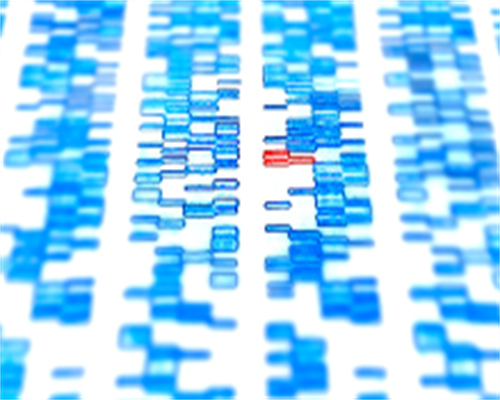 孕晚期分泌物,亲自去香港验血 去哪些医院