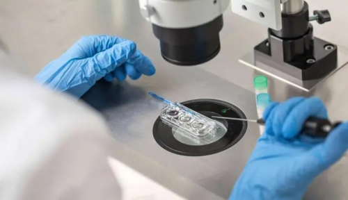 试管究竟可不以做无创DNA产前检测呢？,怀男宝香港验血会验不出来吗