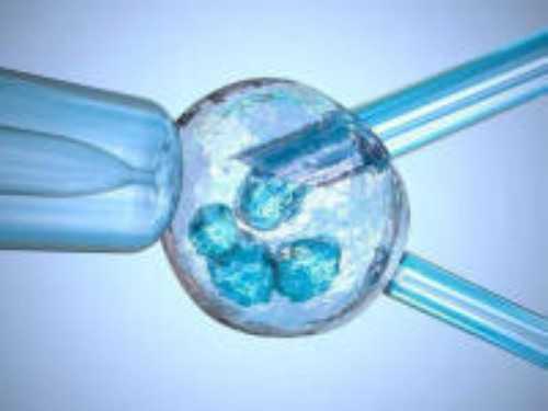 子宫内膜薄患者适合做几代试管婴儿？~借卵试管供卵