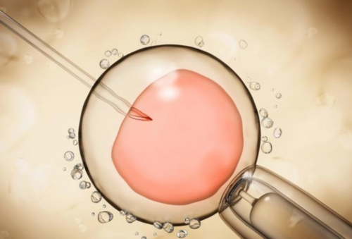 香港验血查男女，怀孕前期查胎儿性别男女的科学方法,孕19周香港验血性别准不