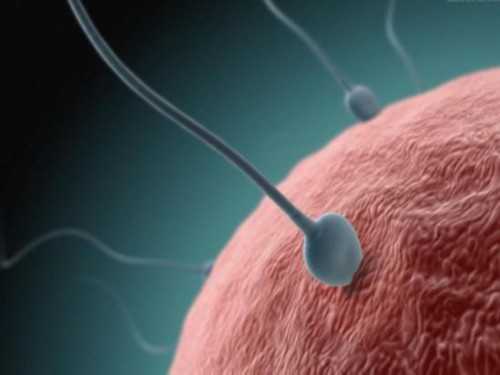 保胎对孩子发育受影响吗,10周可以香港验血吗