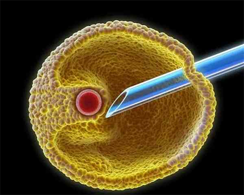 香港抽血验男女几周才可以,我来告诉你最全流,香港验血6周与7周的区别